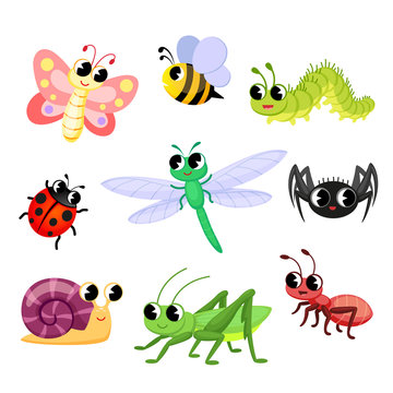 Cute insects cartoon. Butterfly, ant, ladybug, bee, spider, snail, caterpillar, dragonfly, grasshopper