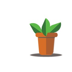 Fototapeta premium Print