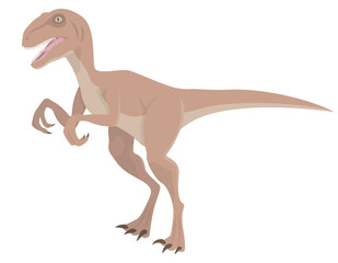 Velociraptor in cartoon style. Predatory dinosaur isolated on white background.