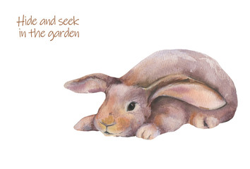 Cute rabbit. Hide and seek in the garden.Watercolor illustration on a white background.Isolated.