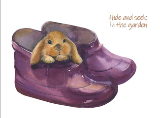 Cute rabbit. Hide and seek in the garden.Watercolor illustration on a white background.Isolated. Rabbit in the shoe.