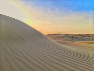 sand dune in desert of Algeria