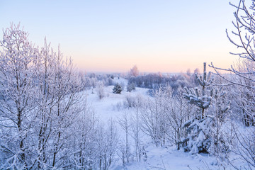 winter landscape in the forest