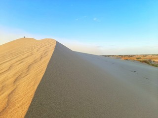 sand dune in desert of Algeria