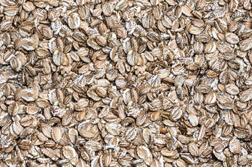 Seamless pattern of organic rye flakes