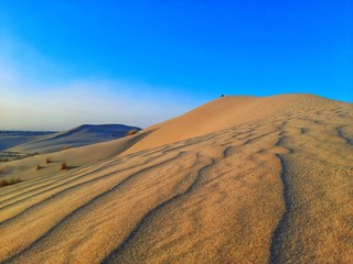 sand dune in desert of Algeria
