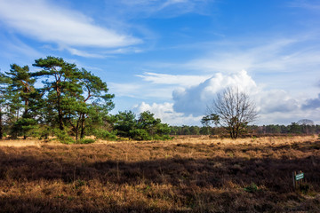 Fototapeta na wymiar Landscape at Den Treek near Amersfoort, Netherlands