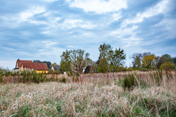 Fototapeta na wymiar reed landscape in Usedom