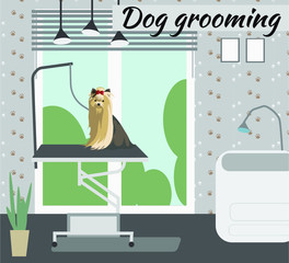 Yorkshire terrier in the dog grooming salon vector