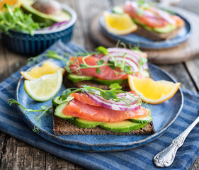 Sandwiches with red fish and vegetables on a blue plate.
