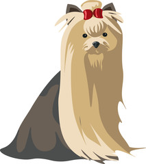 yorkshire terrier with red bow vector on a white background
