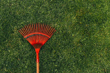 Red rake on a green lawn.