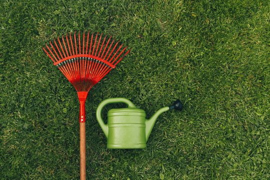 Red rake and watering can on a green lawn.