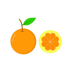 Orange fruit slice illustration