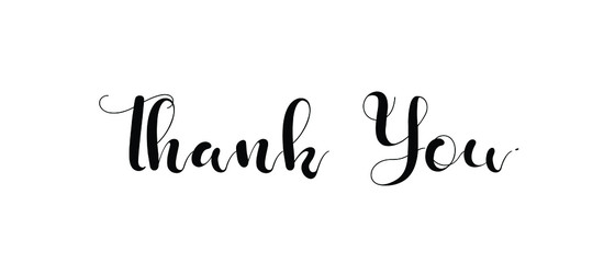 Thank you Hand drawn lettering. Calligraphic Lettering, Modern Calligraphy for thank You. Vector illustration.