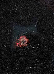 Rosette Nebula