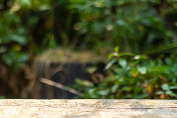 Empty wooden table on blur abstract green in the morning background. For montage product display or design key visual layout.