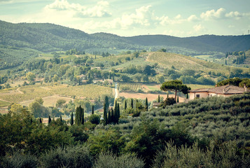 Fototapeta na wymiar Green meadows in Tuscany. Landscape with hills, garden trees, mansions of Italian countryside