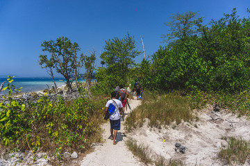 Obraz premium men exploring the deep forests of havelock andaman india