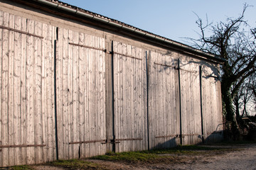 Fototapeta na wymiar a row of wooden doors glimmering in sunlight