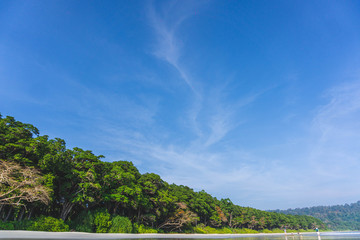 landscape with trees and blue sky in radhanagar beach havelock andaman