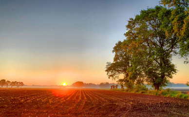 Fototapeta na wymiar Dramatic and colorful sunrise sky. Dramatic and colorful sunrise or sunset sky over a grassy green farmfield