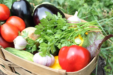 Basket with autumn vegetables. Tomatoes, eggplant, onions, cucumbers.