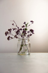 Dried flowers in a transparent jar on a gray background.