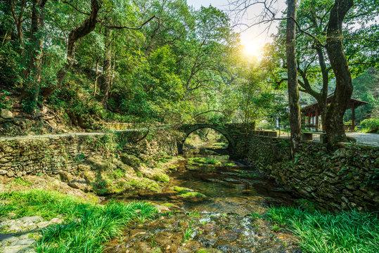 Creek and round stone arch bridge in the forest, Wuyuan, Jiangxi