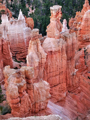 Bryce Canyon Hoodoos National Park landscape  Utah