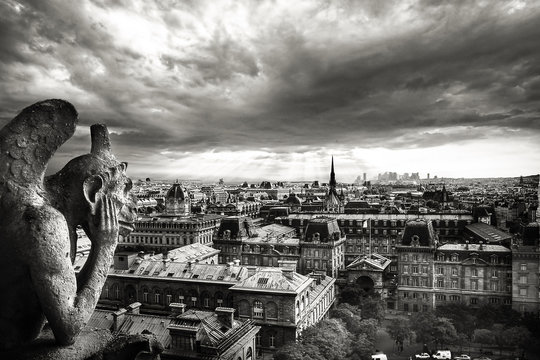 Fototapeta The gorgoiles of Notre Dame look at Paris