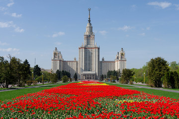 Main building of Moscow State University with carpet of tulips. Moscow, Russia.