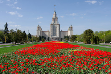 Spring in the Russian capital. Main building of Moscow State University with carpet of tulips. Moscow, Russia.