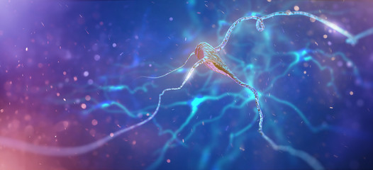 Neurons and nervous system. 3d render of nerve cells