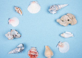 Collection of seashells forming a frame on a light blue background (top view, copy space in the center for your text)