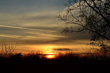 Orange sunset over the forest, traces from the plane.