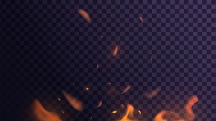 Fototapeta na wymiar Vector flames and sparks on a transparent background, orange fire