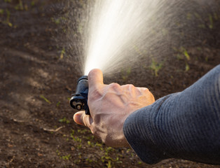 Man watering backyard lawn