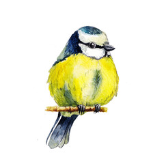 Beautiful watercolor illustration of a great tit isolated on a white background. Can be used for invitations, greeting cards, t-shirts, prints, and posters.