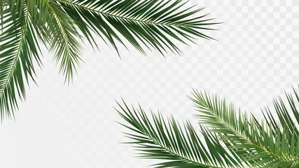 Deurstickers Palmtakken in de hoeken, tropische planten decoratie-elementen © lidiia