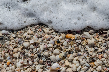 wave and shells on the beach of sanibel island