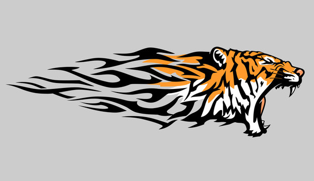 Tiger Abstract Flame, Illustration in Color