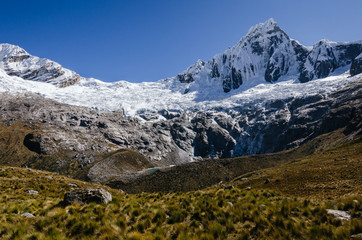 high snowy Taulliraju mountain and green fields of grass in the foreground, in quebrada santa cruz in peru