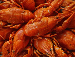 Freshly cooked, piled red crayfish, tasty natural snack 