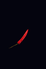 red chili pepper on a black background
