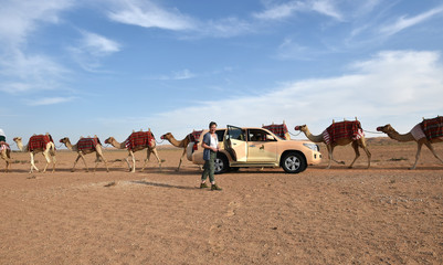 Kamele in der Sandwüste