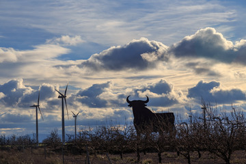 Toro y mlinos