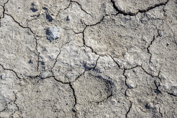 Drought, the ground cracks and lack of moisture. land with cracks without water