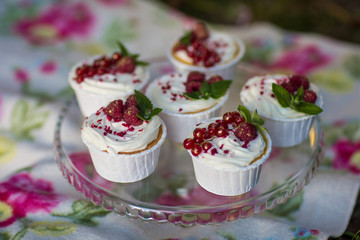 cupcakes