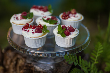 cupcakes